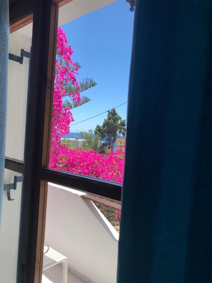 Garden House Apartment Khora Sfakion Luaran gambar